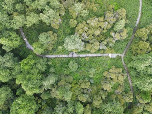 DJI_3038.JPG